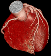 fig03